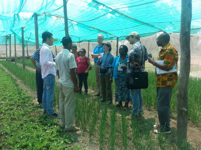Field Visit Prolinnova Field Visit Prolinnova